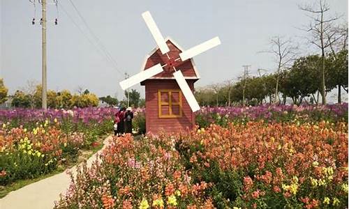 花都香草世界_花都香草世界景点介绍