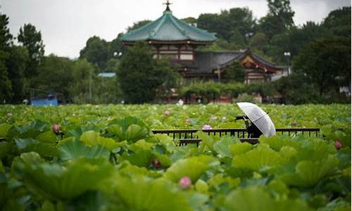 日本东京公园_日本东京公园排行榜