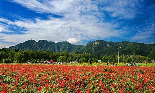 延庆花海自驾路线_延庆花海自驾路线图