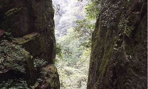 天目山旅游攻略两日游多少钱_天目山旅游攻略两日游多少钱一天